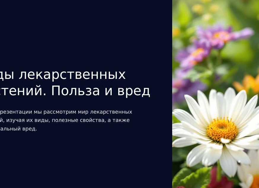 Полезные свойства лекарственных растений и способы их применения