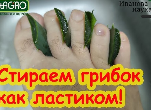 Как избавиться от грибка ног народными средствами?