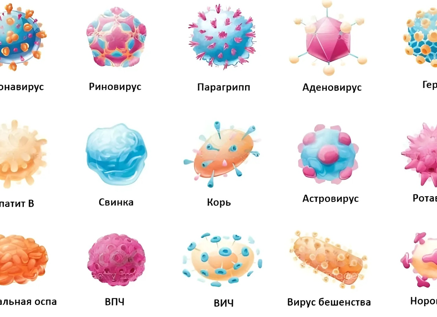 Несколько простых способов защититься от герпеса: не мазями едиными
