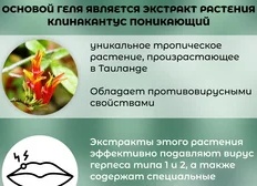 Герпес. Натуральные компоненты для эффективной борьбы.