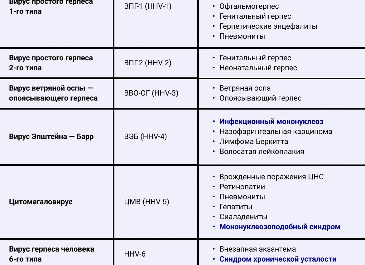 Герпес: основные признаки, как передается и как можно защититься