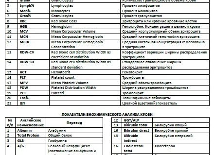 11 параметров общего анализа крови, за которыми врачи призывают следить постоянно