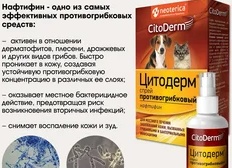 7 самых эффективных средств против грибка и плесени