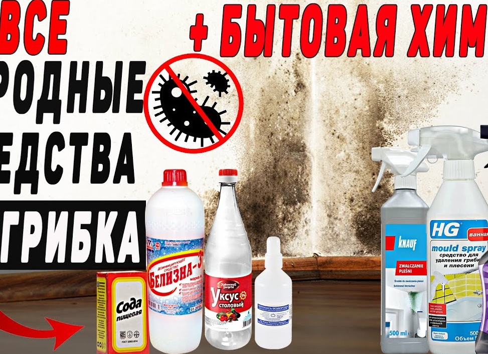 Эффективные средства от плесени на стенах. Как вывести грибок