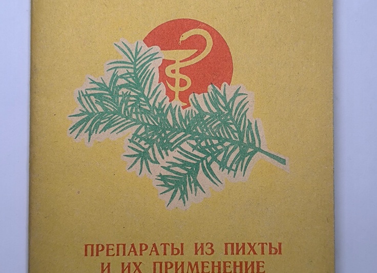Препараты из пихты и их применение в лечебной практике.
