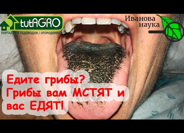 Грибок у человека в организме. Как с ними бороться.