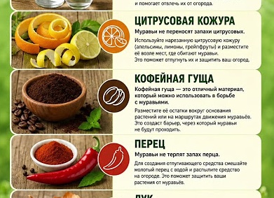 КАКИЕ НАРОДНЫЕ СРЕДСТВА МОЖНО ИСПОЛЬЗОВАТЬ ДЛЯ ОБЛЕГЧЕНИЯ БОЛИ ПРИ ГЕРПЕСЕ У ДЕТЕЙ?