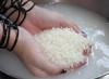 Kā pagatavot rīsus suši (rullīšos)?