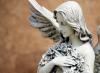 Statuturi despre îngerul păzitor Citate despre îngeri cu aripi negre