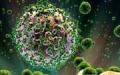 Antigenul HIV: ce este, ce rol joacă acesta în diagnostic?