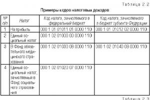 Бюджетна класификация Какво включва бюджетната класификация на Руската федерация